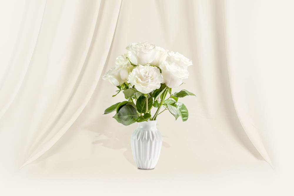 Bouquet de 10 roses blanches