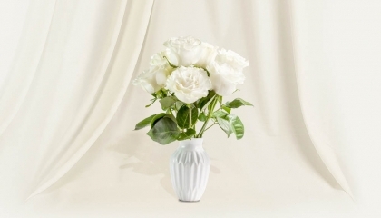 Bouquet de 10 roses blanches